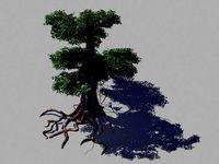 strange tree-creeper-vines 32