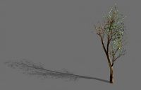 big tree-plant-wood 05