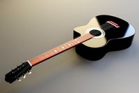 acoustic guitar