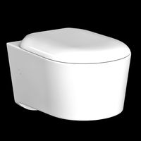 wall hung water closet toilet modeled in 3ds max