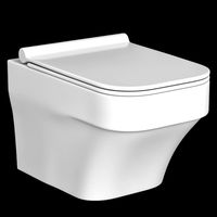 wall hung water closet toilet modeled in 3ds max