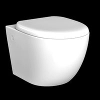 wall hung water closet toilet modeled in 3ds max
