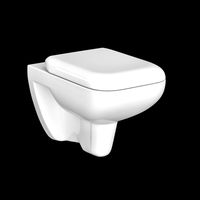 wall hung water closet toilet modeled in 3ds max
