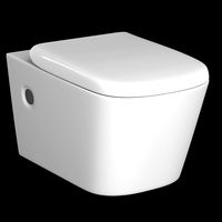 wall hung water closet toilet modeled in 3ds max