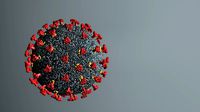 Corona virus