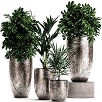 collection of decorative plants in luxury flowerpots 793