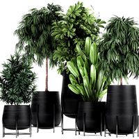 collection of decorative plants in flowerpots 792