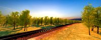 train