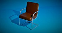 metal skin chair