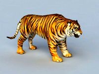 realistic tiger rigged