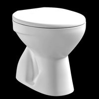 floor mount oval shape ewc toilet modeled in 3ds max