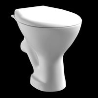 floor mount oval shape ewc toilet modeled in 3ds max