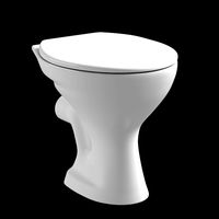 floor mount ewc p trap toilet