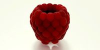 raspberry