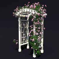 garden arch n2 with roses