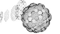hyper-dodecahedron eclater some part