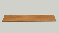 Botanica Ambar MA 19,7x120cm 02