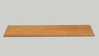 Botanica Ambar EXT 19,7x120cm 24