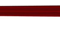 W'BRDS FRAME