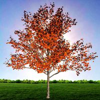 tree 1-with 24 preset materials