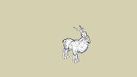 markhor