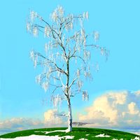 winter trees x8