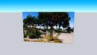 mur fond jardin public