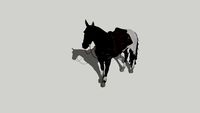 cheval