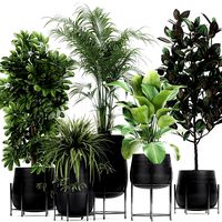 collection of decorative plants in flowerpots 769