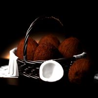 fruit and vegtebale 3