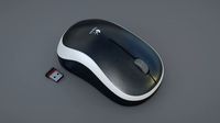 computer mouse