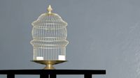 birdcage vintage