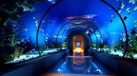 underwater tunnel