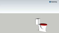 Claydon CC Toilet