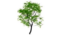 aaaa