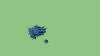 Juniperus horizontalis Blue Chip 3d