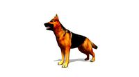 German Shepherd Dog