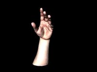 Relaxed hand