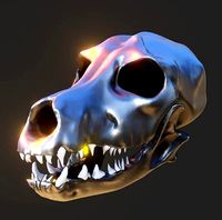 Skull