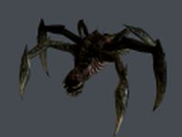 Space Alien Spider 3D Model