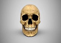 Petes Skull with texture maps