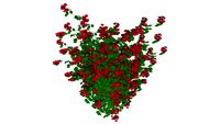 Red Bougainvillea