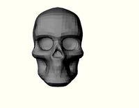 Skull Low