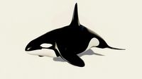 Killer Whale - Low-poly 3D model
