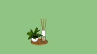 Barroca Neon - Difusor de Varetas