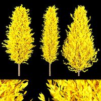 Collection plant vol 218