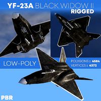 YF-23A BLACK-WIDOW-II Rigged