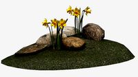 Yellow daffodils and stones