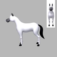 Horse Cartoon