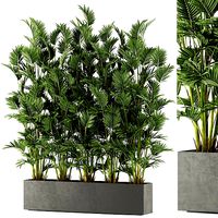 Plants collection 472